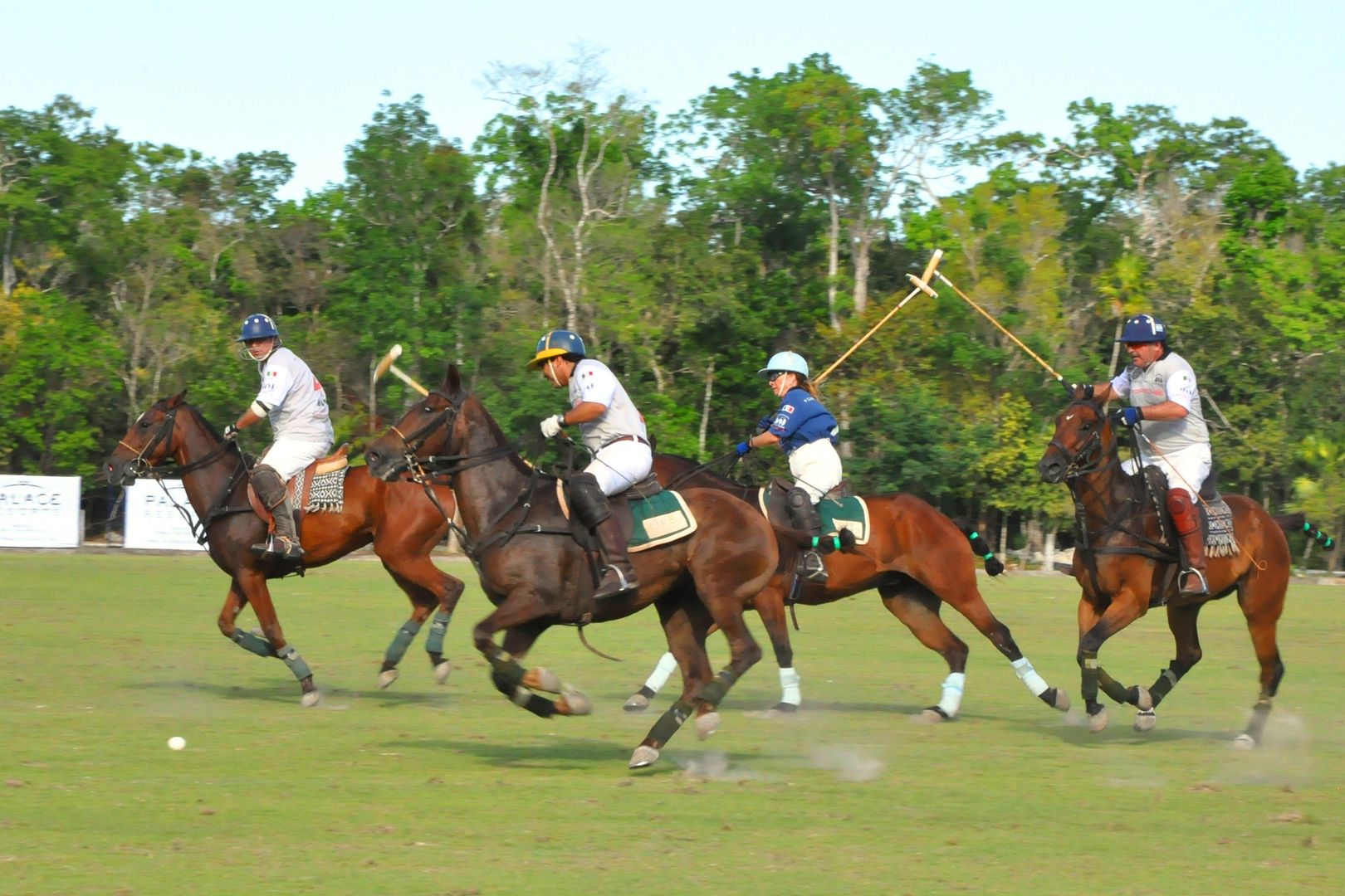 Life's a Beach Expat Life in Playa del Carmen Team Lemmus Wins 2011